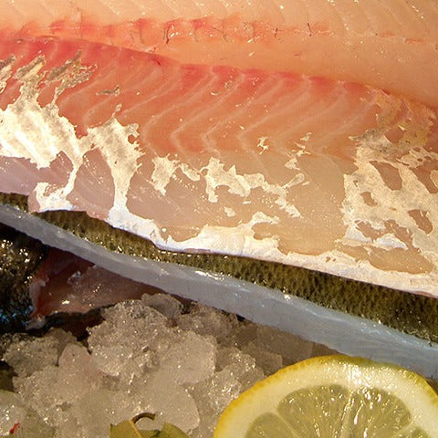 Fresh sander fillet