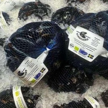 Fresh mussels