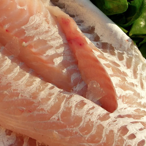 Fresh haddock fillet