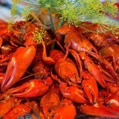 Swedish Crayfish Medium 0,5kg