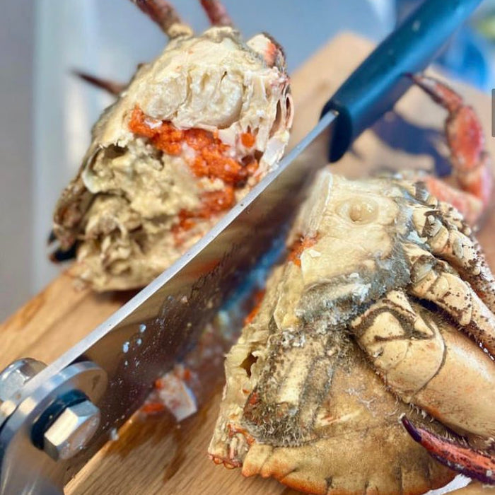 Norwegian Crab 1pc