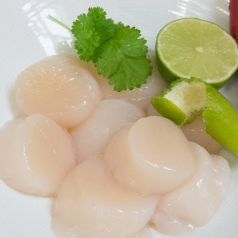 Scallops 2pcs