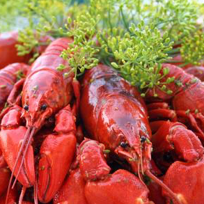 Swedish Crayfish JUMBO 0,5kg